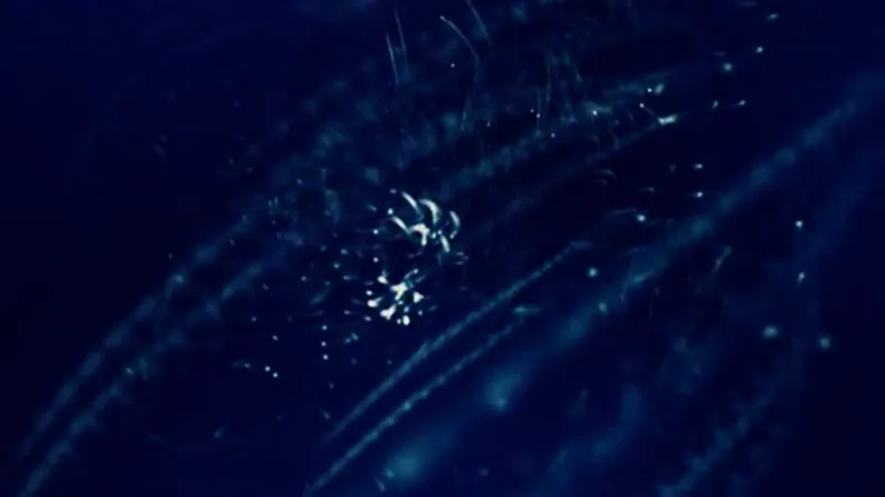 audio visualization — experiment 8